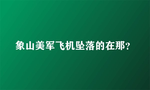 象山美军飞机坠落的在那？
