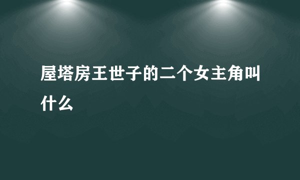 屋塔房王世子的二个女主角叫什么