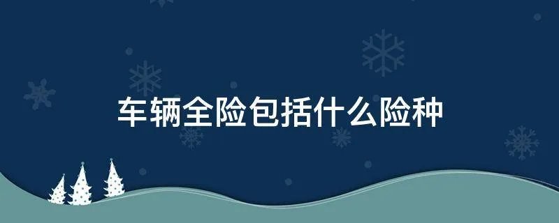 车辆全险包括什么险种