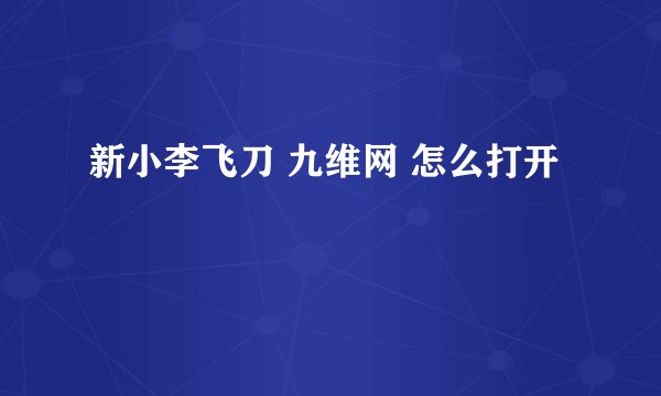新小李飞刀 九维网 怎么打开