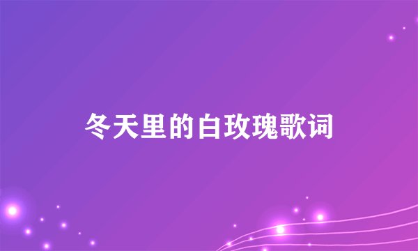 冬天里的白玫瑰歌词