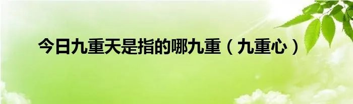 今日九重天是指的哪九重（九重心）