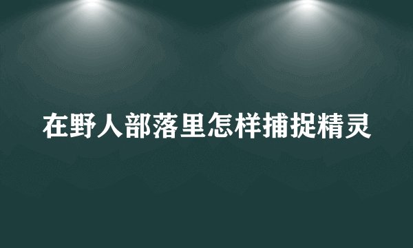 在野人部落里怎样捕捉精灵
