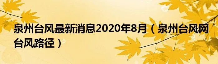 泉州台风最新消息2020年8月（泉州台风网台风路径）