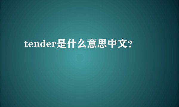 tender是什么意思中文？