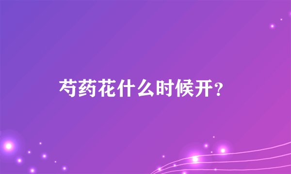 芍药花什么时候开？