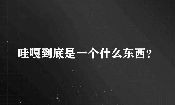 哇嘎到底是一个什么东西？