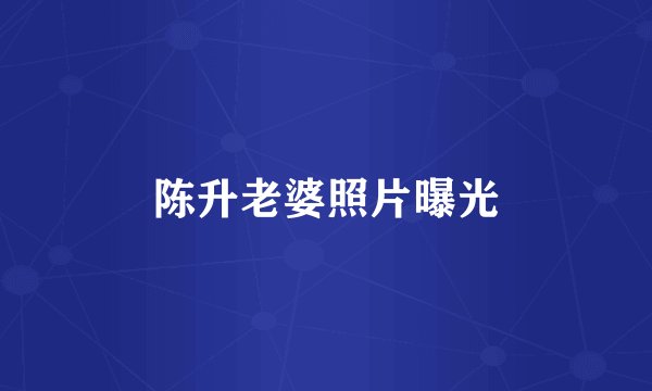 陈升老婆照片曝光