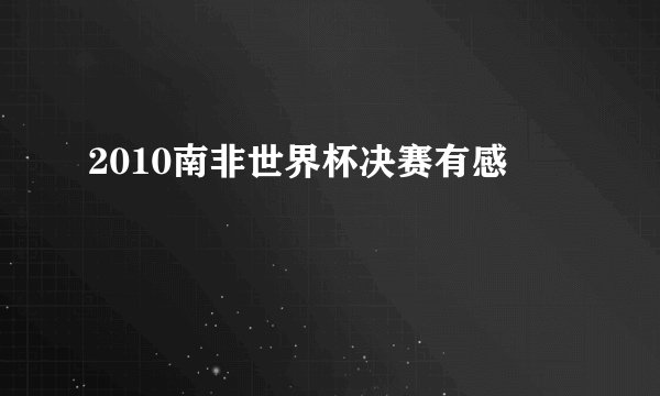 2010南非世界杯决赛有感