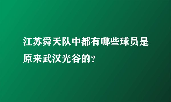 江苏舜天队中都有哪些球员是原来武汉光谷的？
