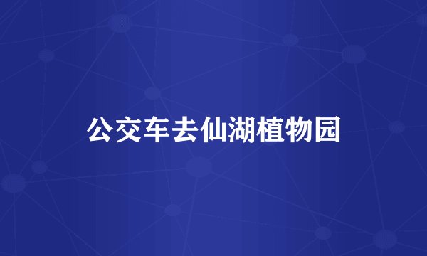 公交车去仙湖植物园