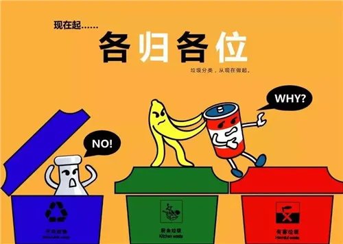 宁波市生活垃圾分类垃圾桶的颜色有哪几种