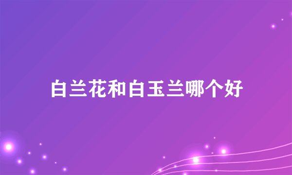 白兰花和白玉兰哪个好