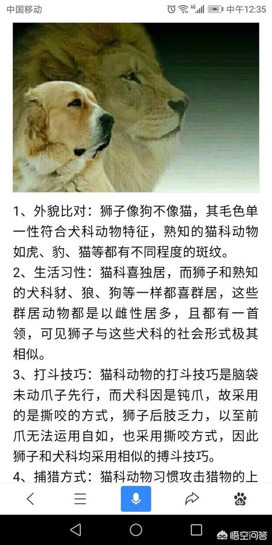 鬣狗狮子