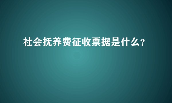 社会抚养费征收票据是什么？
