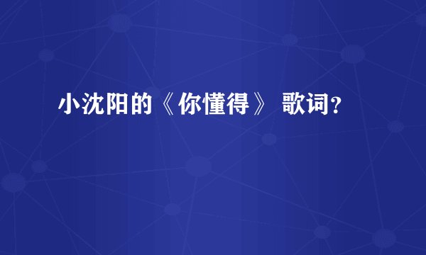 小沈阳的《你懂得》 歌词？
