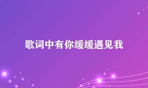 歌词中有你缓缓遇见我