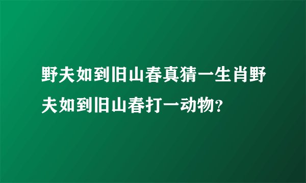 野夫如到旧山春真猜一生肖野夫如到旧山春打一动物？