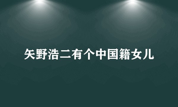 矢野浩二有个中国籍女儿