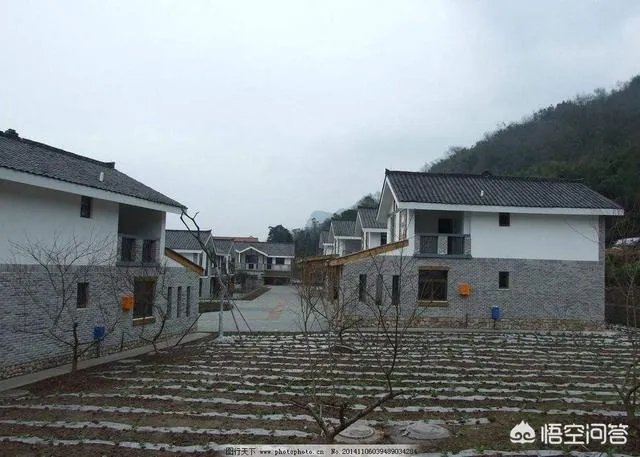 关于农业生产的俗语有哪些?