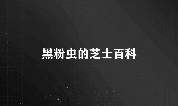 黑粉虫的芝士百科