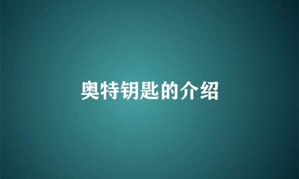 奥特钥匙的介绍