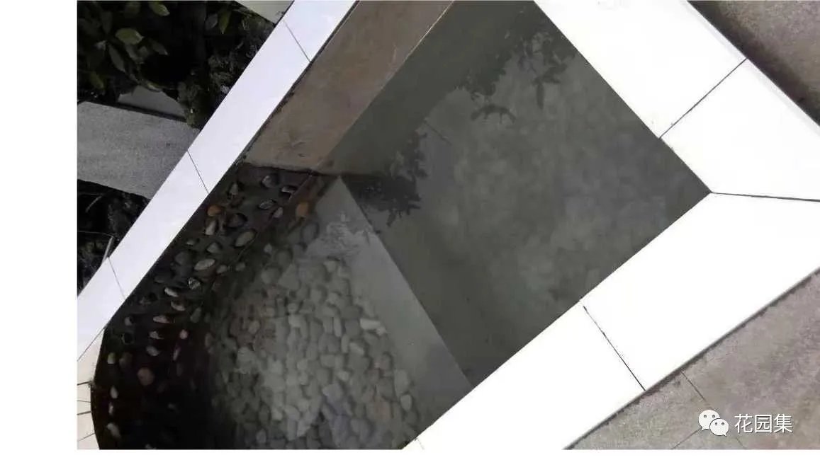 纯天然庭院鱼池打造攻略,生态、省心又实惠!赶紧收藏