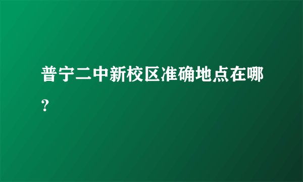 普宁二中新校区准确地点在哪？
