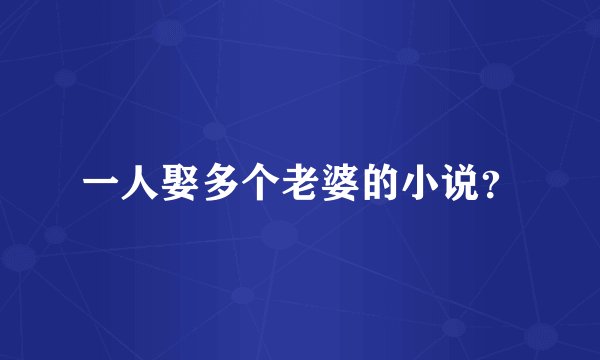 一人娶多个老婆的小说?