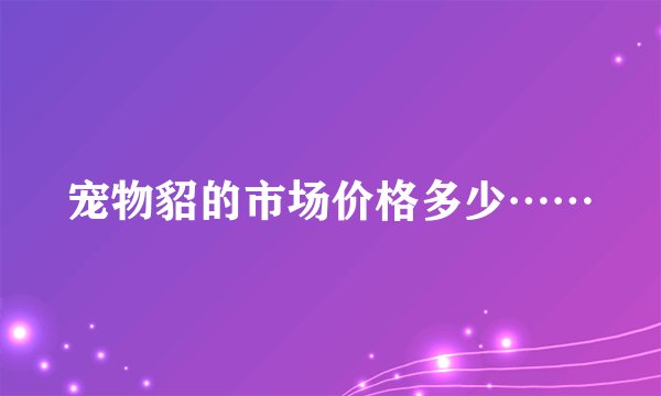 宠物貂的市场价格多少……