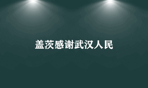 盖茨感谢武汉人民