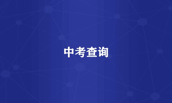 中考查询