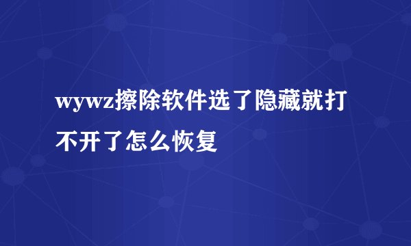 wywz擦除软件选了隐藏就打不开了怎么恢复