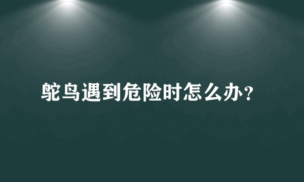 鸵鸟遇到危险时怎么办?