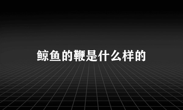 鲸鱼的鞭是什么样的