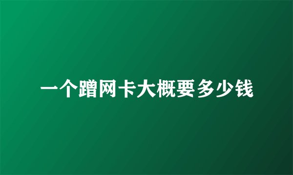 一个蹭网卡大概要多少钱