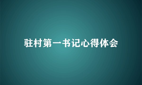 驻村第一书记心得体会