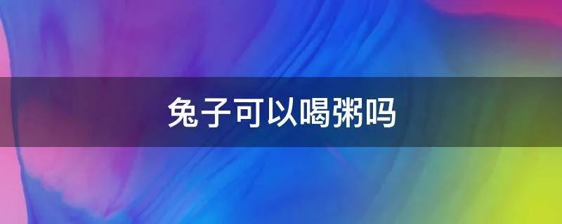 兔子可以喝粥吗
