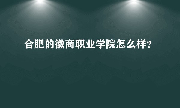 合肥的徽商职业学院怎么样？