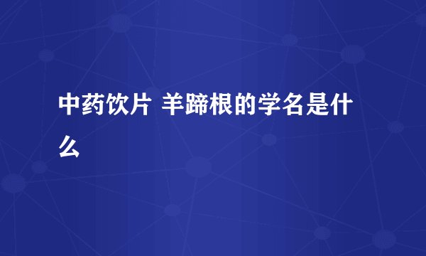 中药饮片 羊蹄根的学名是什么