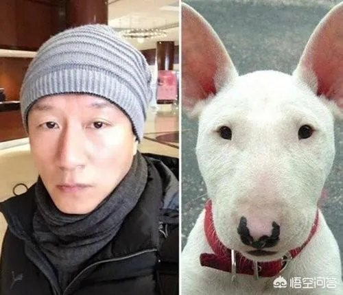 徐锦江回应撞脸“雷神”和“海王”,还有哪些中外明星的“撞脸”事件令人忍俊不禁?