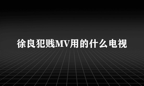徐良犯贱MV用的什么电视