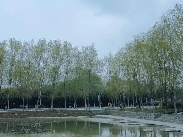 闻雅语录？