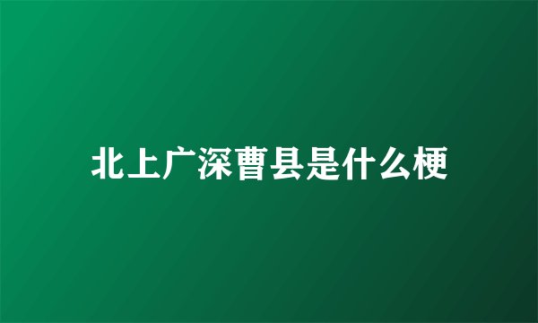 北上广深曹县是什么梗