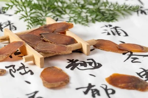 鹅不食草的功效与作用_鹅不食草的药用价值