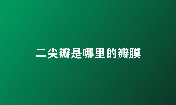 二尖瓣是哪里的瓣膜