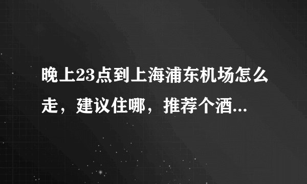 晚上23点到上海浦东机场怎么走，建议住哪，推荐个酒店。坐什么车呢
