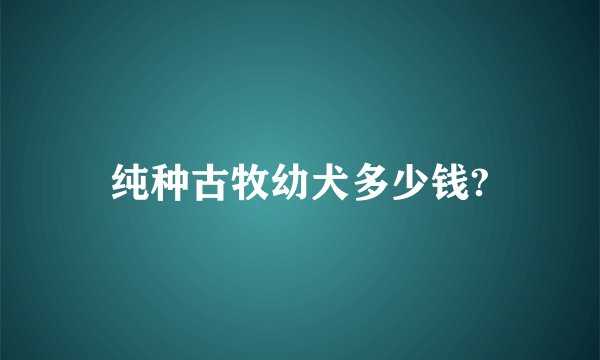 纯种古牧幼犬多少钱?