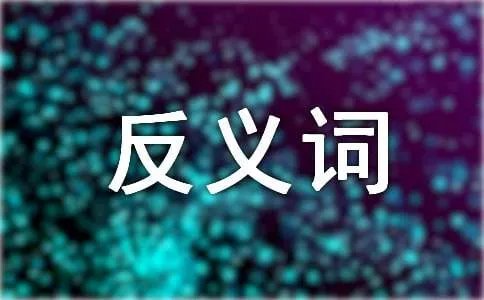 称赞的反义词是什么