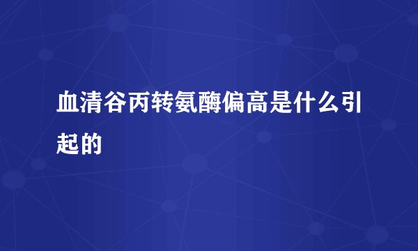 血清谷丙转氨酶偏高是什么引起的